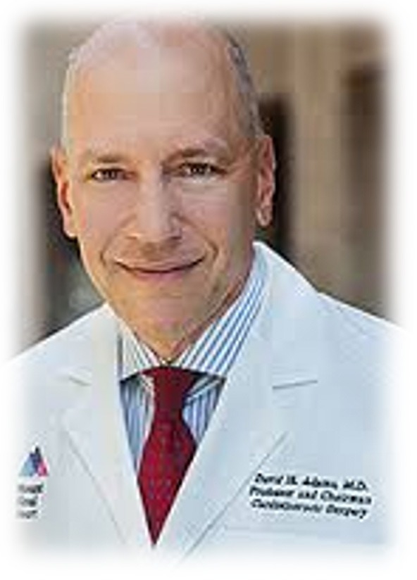 Professor David Adams The Mount Sinai Hospital, NY
											